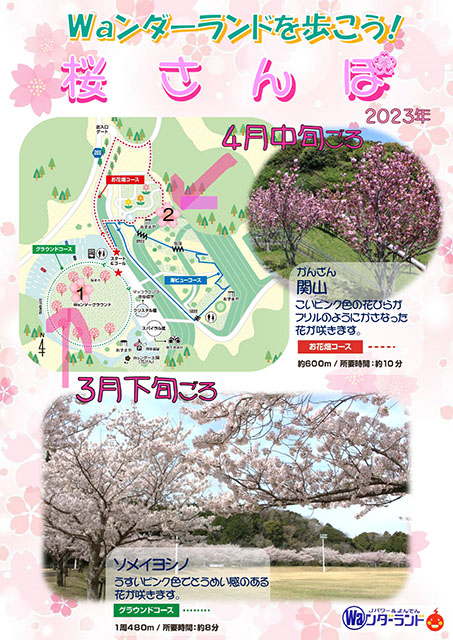 Ｗａンダーランドを歩こう！桜さんぽ