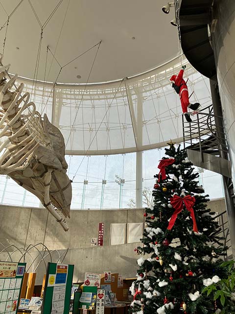 Waンダーランドのクリスマス 4