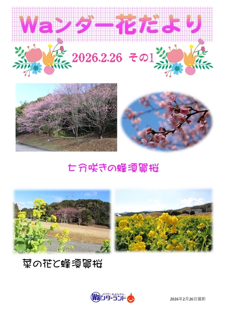 Waンダー花だより 2026.2.26 その1