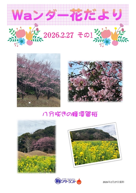 Waンダー花だより 2026.2.27 その1