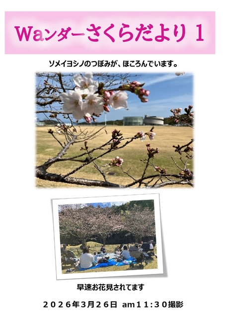 Waンダーさくらだより 1